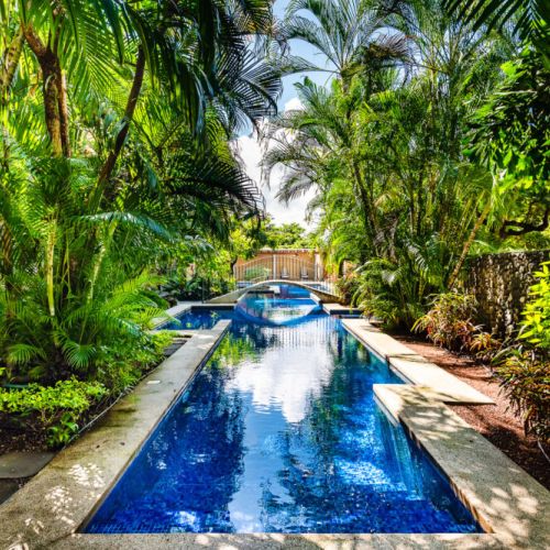 Pool is surrounded by lush green gardens