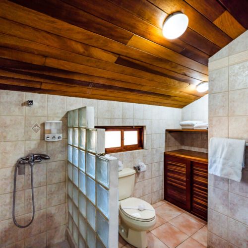 Upstairs bathroom with a shower and hot water.