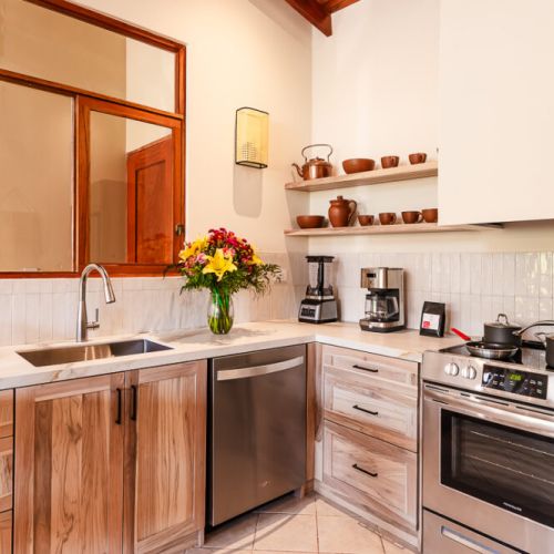 Kitchen is equipped with an induction stove, dishwasher, blender and fridge.